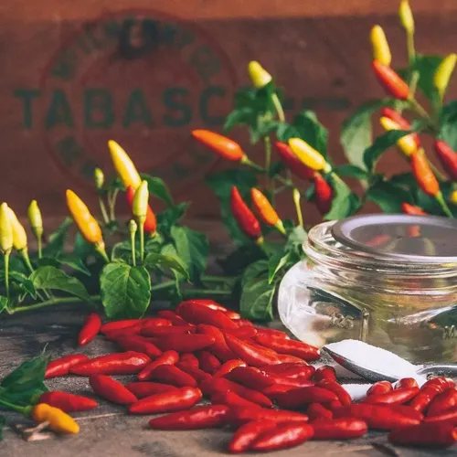 SALSA PICANTE TABASCO ORIGINAL 60ML