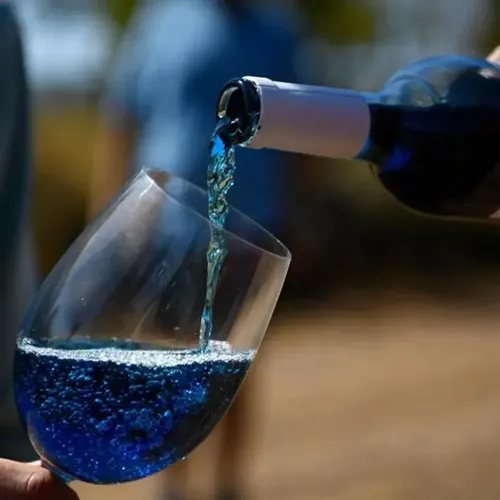 ESPUMANTE FRIZZE BLUE EVOLUTION 750ML