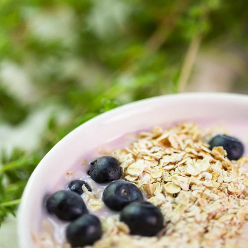 AVENA GRANIX INSTANTANEA 400G