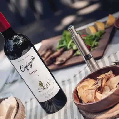 CAJA X6 VINO CAFAYATE MALBEC ETCHART 750ML - PERNOD