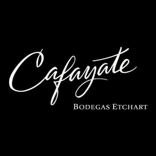 CAJA X6 VINO CAFAYATE MALBEC ETCHART 750ML - PERNOD