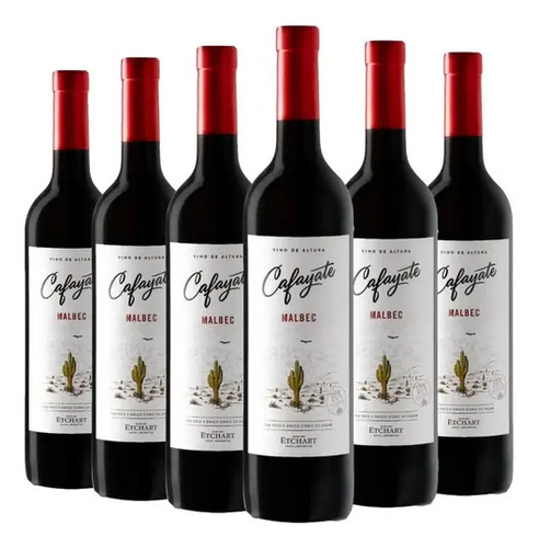 CAJA X6 VINO CAFAYATE MALBEC ETCHART 750ML - PERNOD