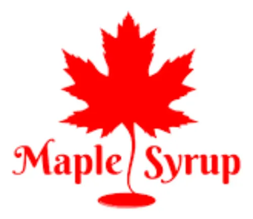 JARABE DE ARCE MAPLE SYRUP 250ML - VILLARES