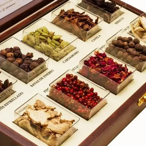 BOTÁNICOS X10 ESTUCHE ESPECIAS INDOMITA TERRA