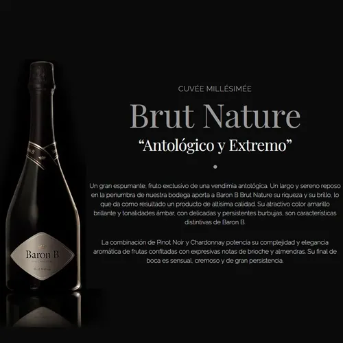 CHAMPAGNE BARON B BRUT NATURE 750ML
