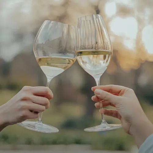 VINO LATITUD 33 SAUVIGNON BLANC 750ML - CHANDON