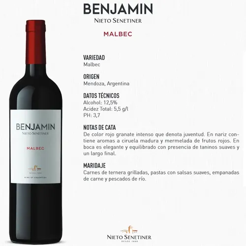VINO BENJAMIN MALBEC 750ML