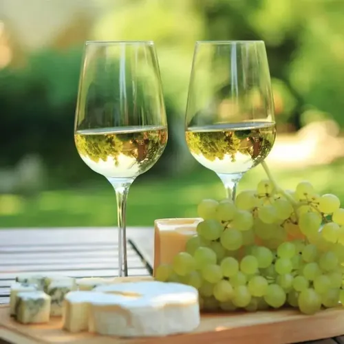 PACK X6 VINO ALAMBRADO CHARDONNAY 750ML