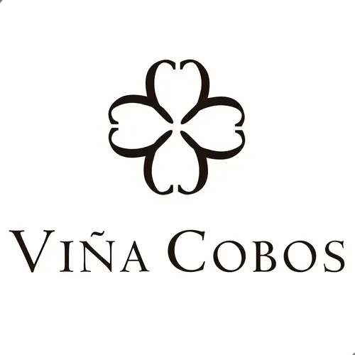 VINO FELINO CABERNET SAUVIGNON 750ML