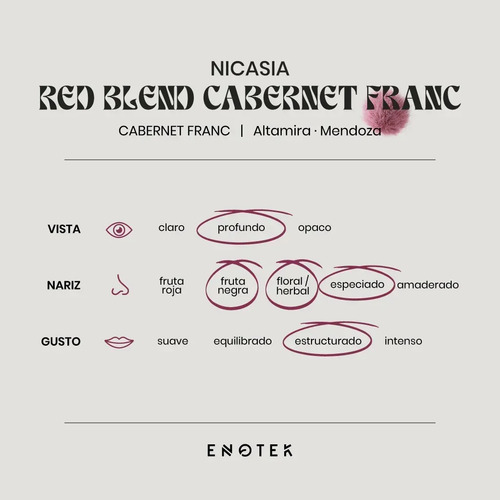 VINO NICASIA RED BLEND CABERNET FRANC BOX X6
