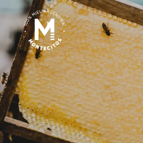MIEL MONTECITOS CREMOSA 300G
