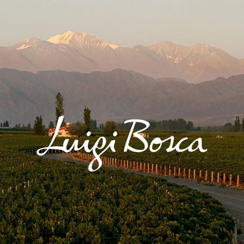 VINO LUIGI BOSCA SAUVIGNON BLANC 750ML