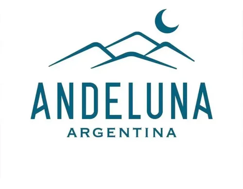 PACK X12 VINO ANDELUNA 1300 CABERNET SAUVIGNON 750ML