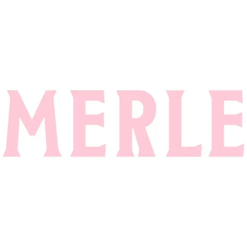 COMBO GIN MERLE + ESTERILLA