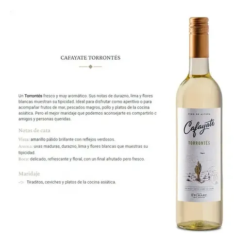 PACK X6 VINO CAFAYATE TORRONTES ETCHART 750ML - PERNOD