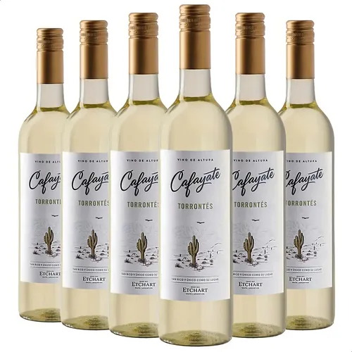 PACK X6 VINO CAFAYATE TORRONTES ETCHART 750ML - PERNOD