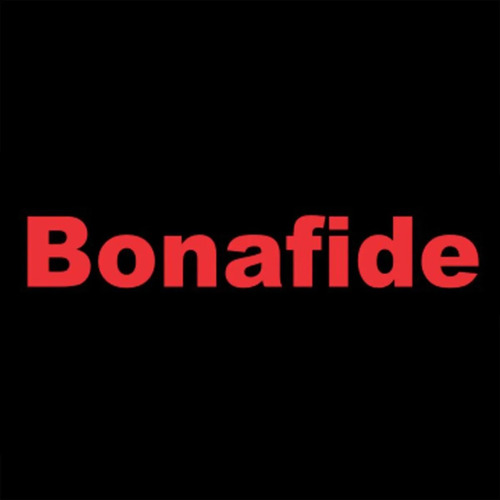 BOMBONES VIZZIO NUGATON BONAFIDE 40G
