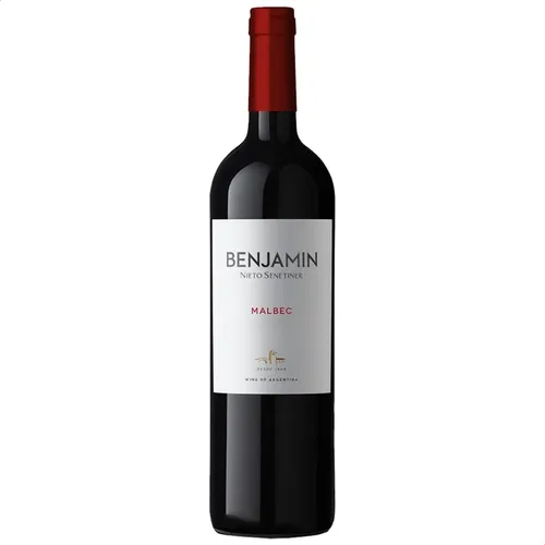 PACK X12 VINO BENJAMIN MALBEC 750ML