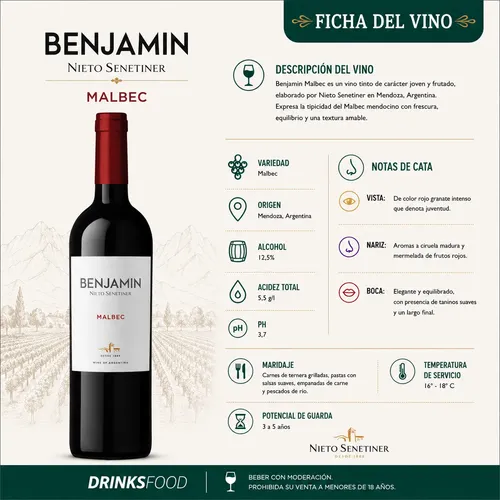 PACK X12 VINO BENJAMIN MALBEC 750ML