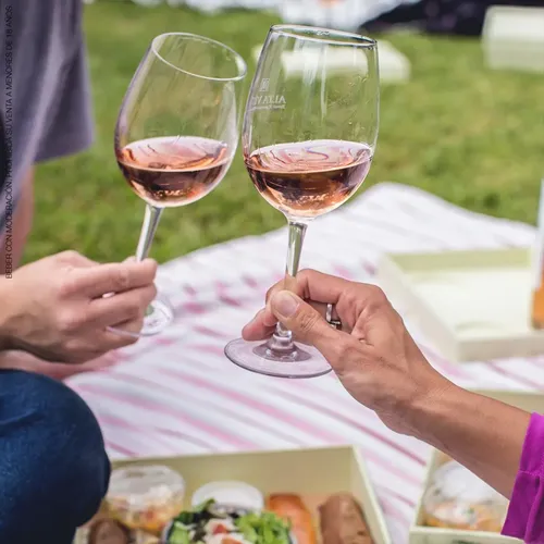 PACK X12 VINO ALTA VISTA VIVE MALBEC ROSE 750ML