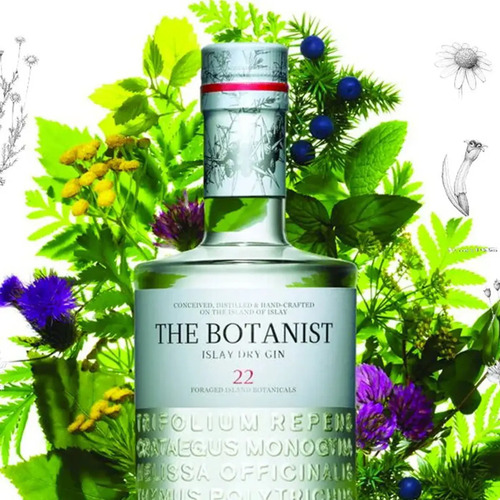COMBO GIN THE BOTANIST + BOTANICOS INDOMITA + 2 COPON GIN&V