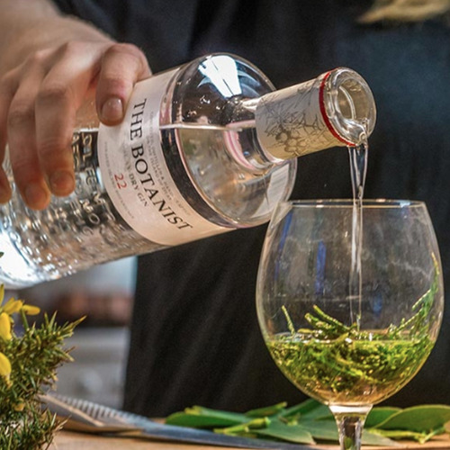 COMBO GIN THE BOTANIST + BOTANICOS INDOMITA + 2 COPON GIN&V