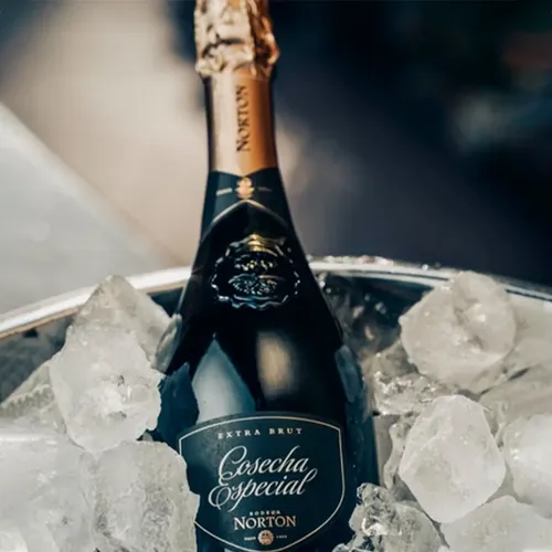 COMBO CHAMPAGNE NORTON COSECHA ESPECIAL EB + 2 COPAS FLAUTA