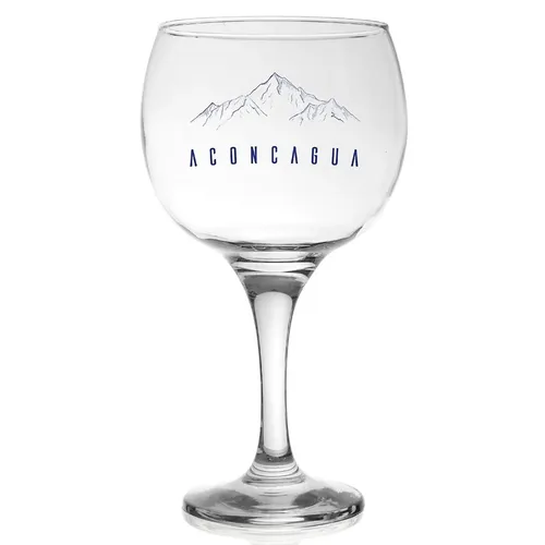 COMBO GIN ACONCAGUA 750ML + 2 COPA ACONCAGUA