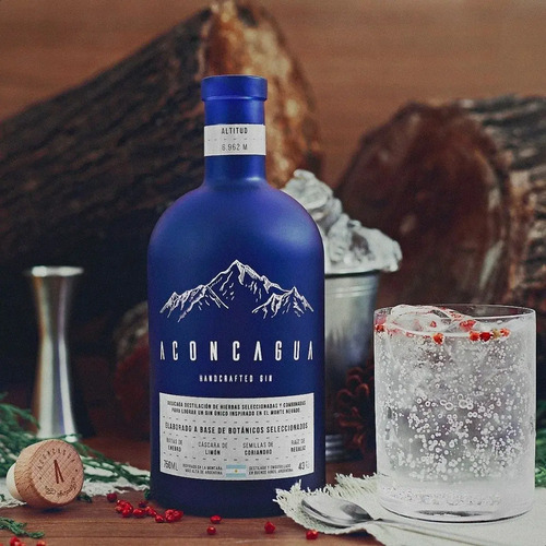 COMBO GIN ACONCAGUA 750ML + 2 COPA ACONCAGUA