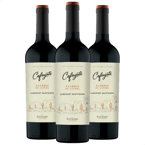 PACK X3 VINO CAFAYATE TERROIR DE ALTURA CABERNET SAUV 750ML - PERNOD
