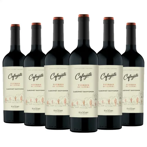 PACK X6 VINO CAFAYATE TERROIR DE ALTURA CABERNET SAUV 750ML - PERNOD