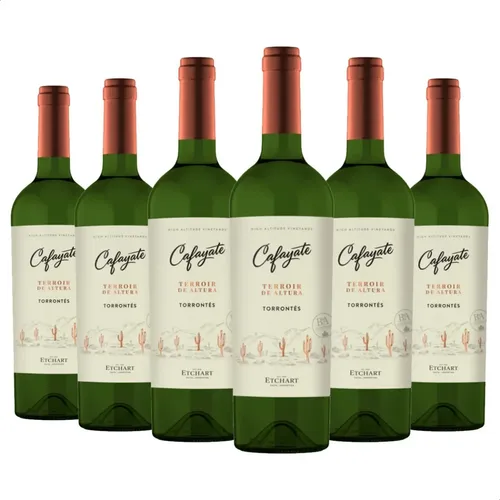 PACK X6 VINO CAFAYATE TERROIR DE ALTURA TORRONTES 750ML