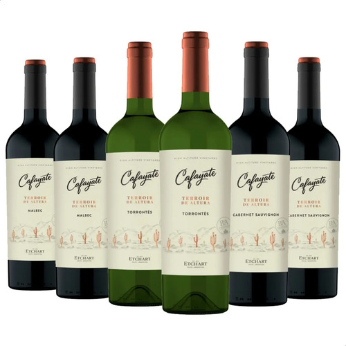 COMBO X6 VINO CAFAYATE TERROIR TORRONTE + MALBEC + CABERNET SAUV