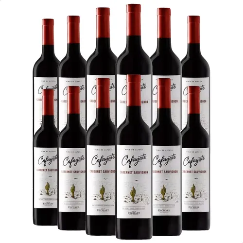PACK X12 VINO CAFAYATE CABERNET SAUVIGNON 750ML